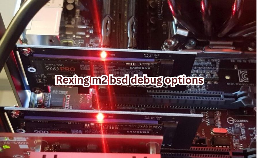 rexing m2 bsd debug options