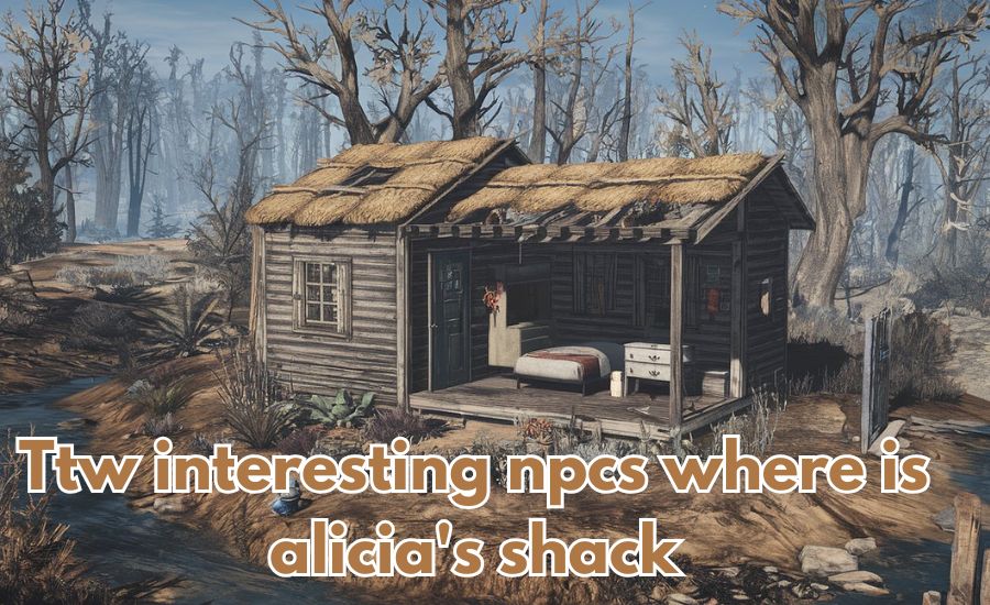 ttw interesting npcs where is alicia's shack