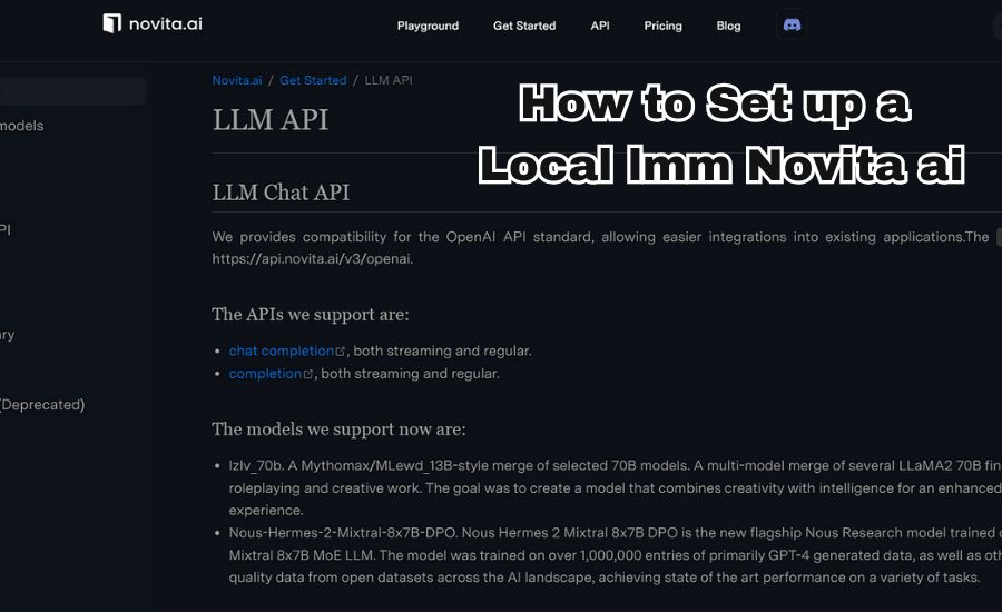 how to set up a local lmm novita ai