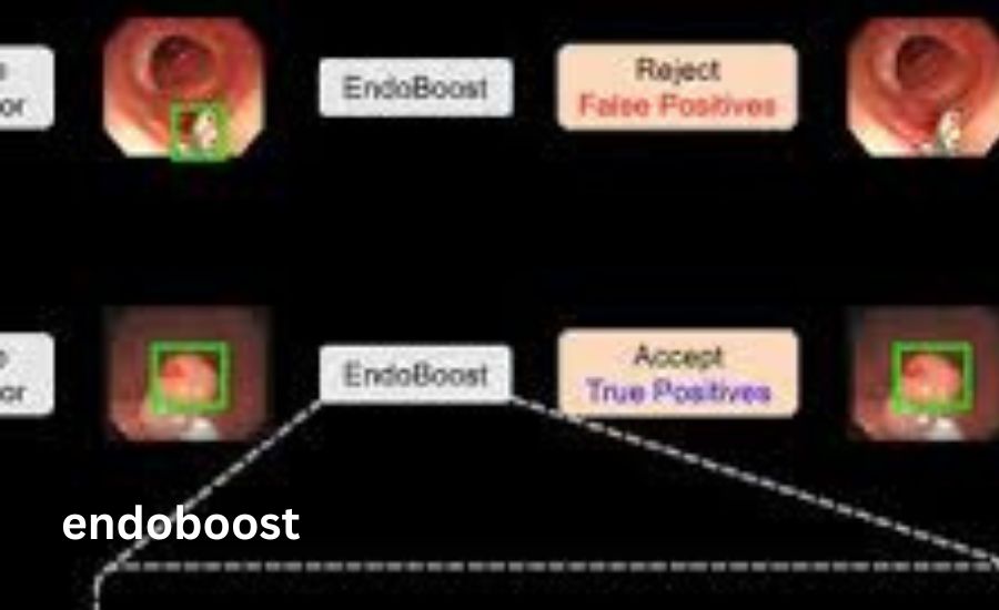 endoboost