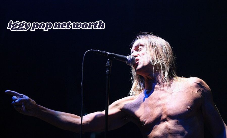 iggy pop net worth