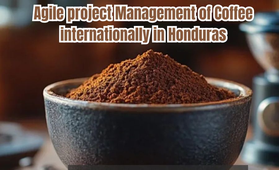 agile project management of coffee internationally in honduras