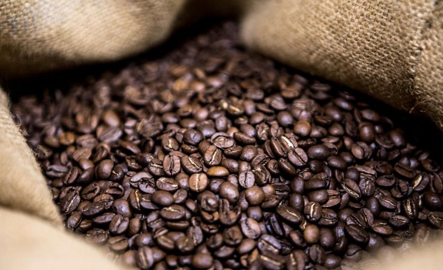 agile project management of coffee internationally in honduras