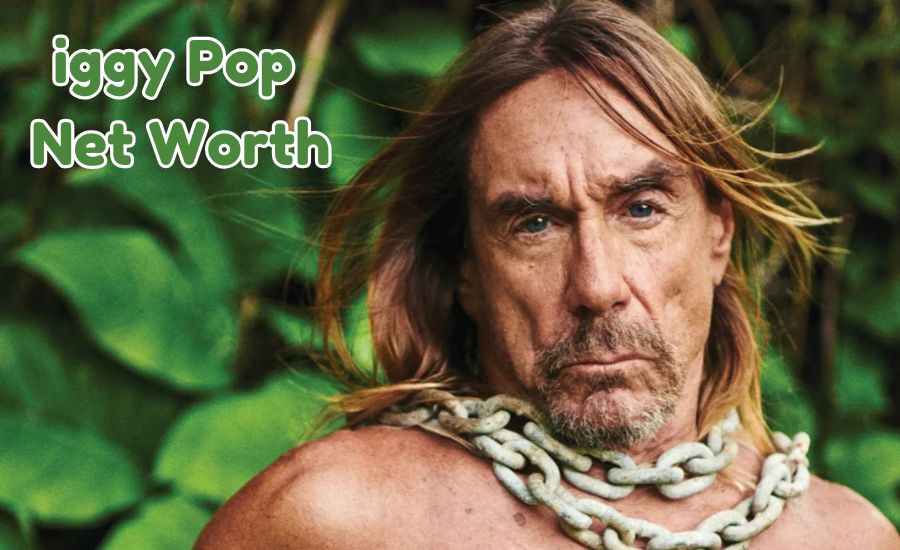 iggy pop net worth