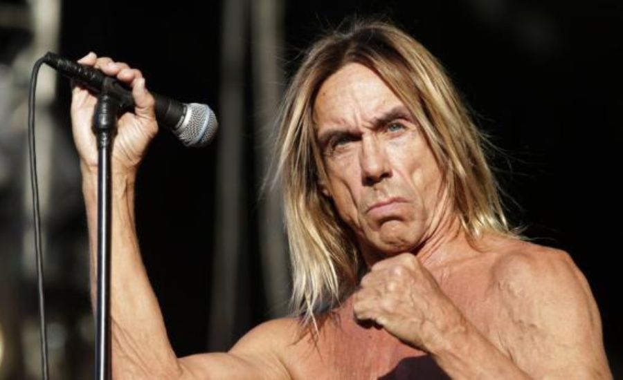 iggy pop net worth