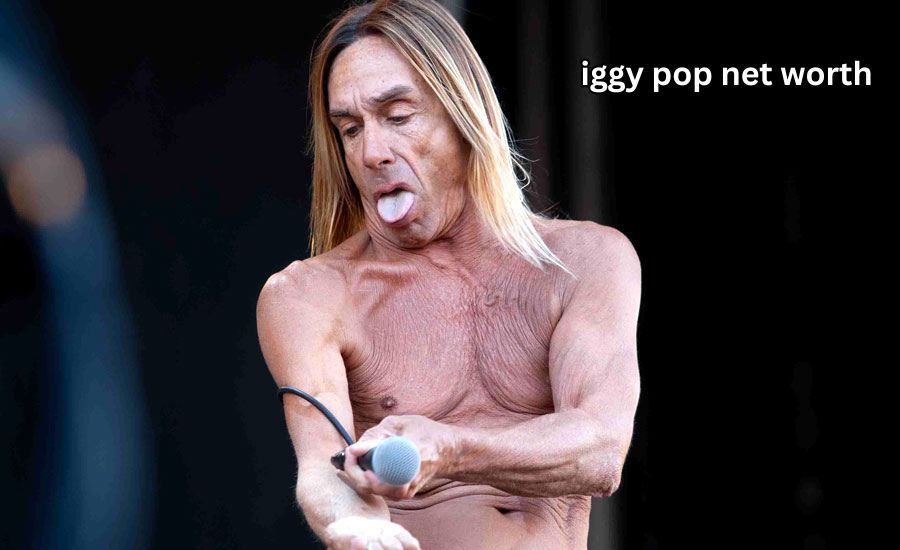 iggy pop net worth