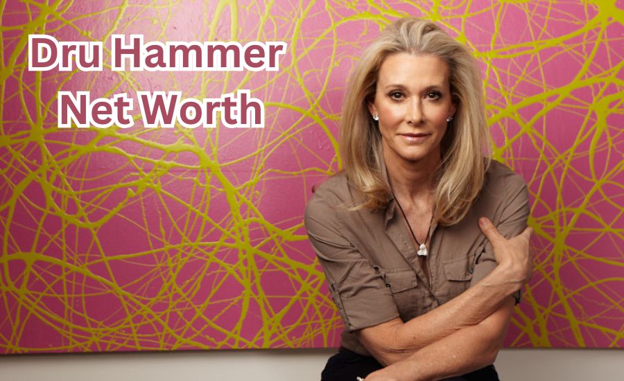 dru hammer net worth